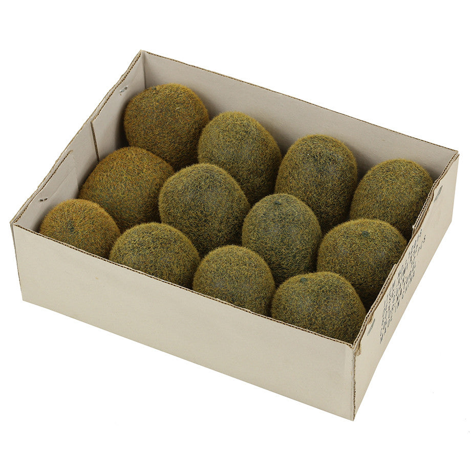 Box 12 Kiwi Fruit REPLICA