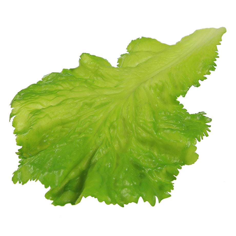 Life like replica lettuce leaf